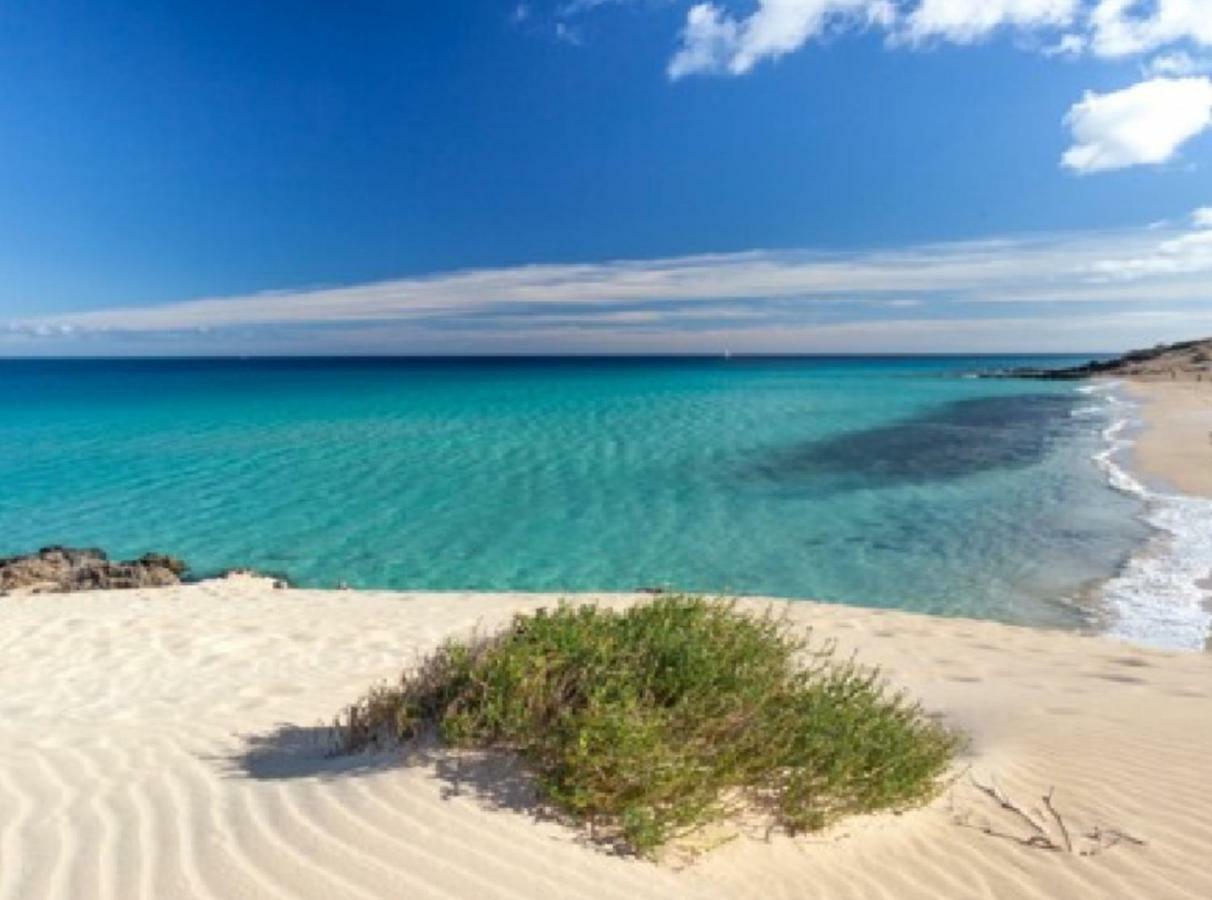 Lima Waikiki Beach Corralejo Exteriör bild